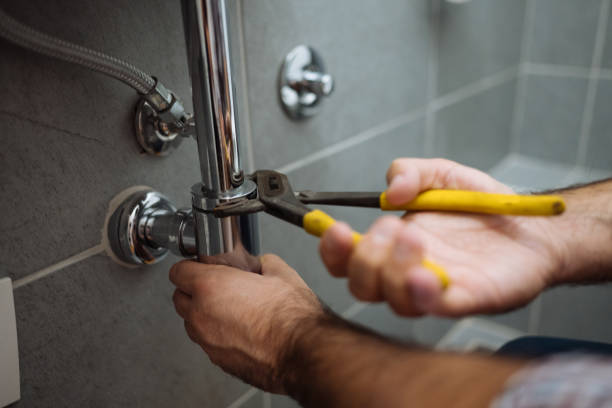 Best Clogged Drain Plumber  in Halstead, KS